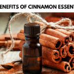 Benefits of Cinnamon Essential Oil | ডালচেনি অত্যাৱশ্যকীয় তেলৰ লাভালাভ