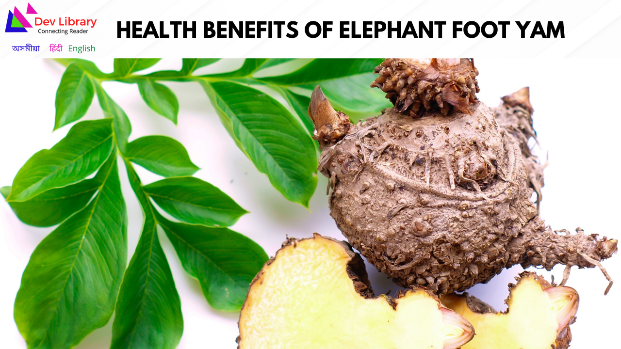 Health Benefits of Elephant Foot Yam | ওলকচুৰ উপকাৰিতা