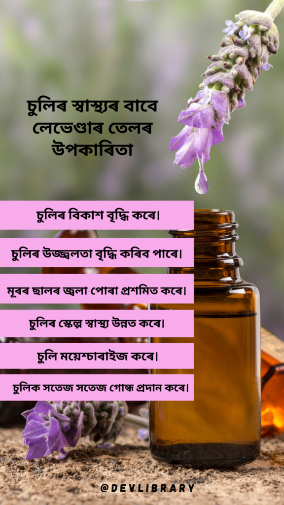 Lavender Oil for Hair Health | চুলিৰ বাবে লেভেণ্ডাৰ তেলৰ উপকাৰিতা