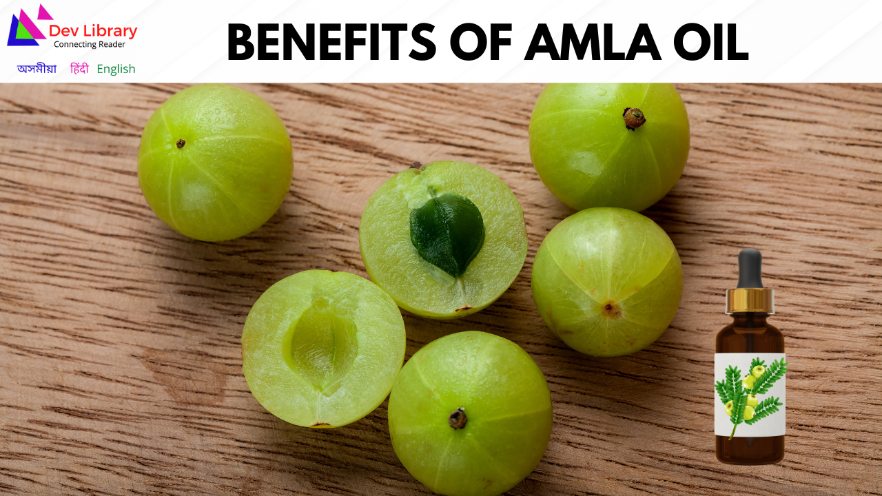 Benefits of Amla Oil | আমলখি তেলৰ উপকাৰিতা