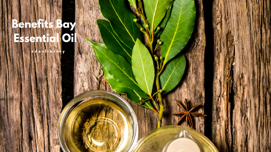 Benefits Bay Essential Oil | তেজপাত অত্যাৱশ্যকীয় তেলৰ লাভালাভ