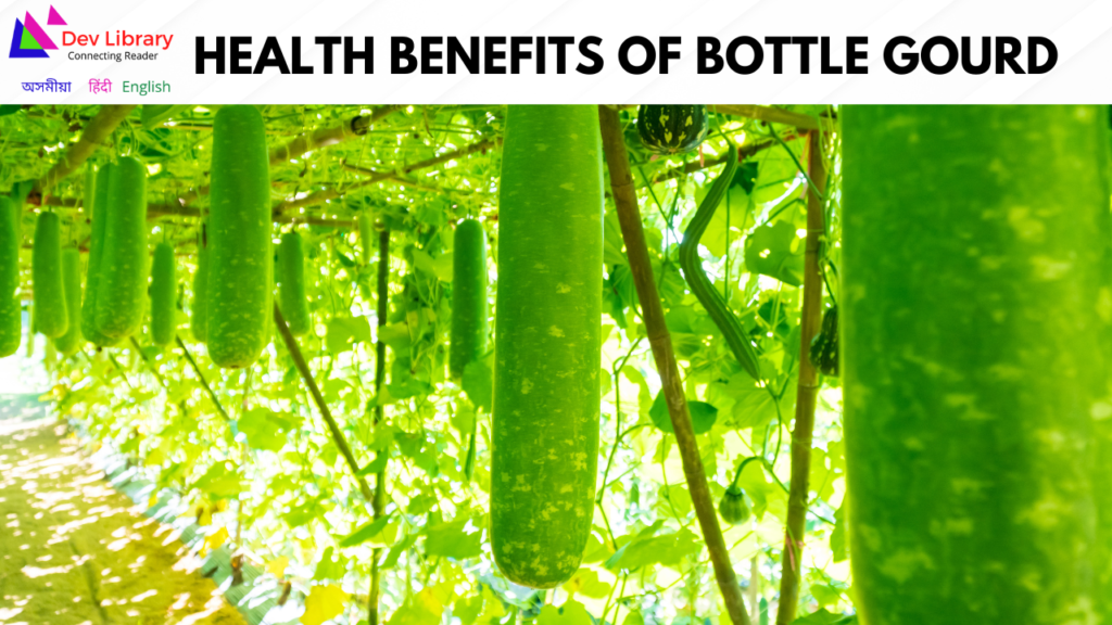 Health Benefits of Bottle Gourd | লাউৰ স্বাস্থ্যজনিত উপকাৰিতা
