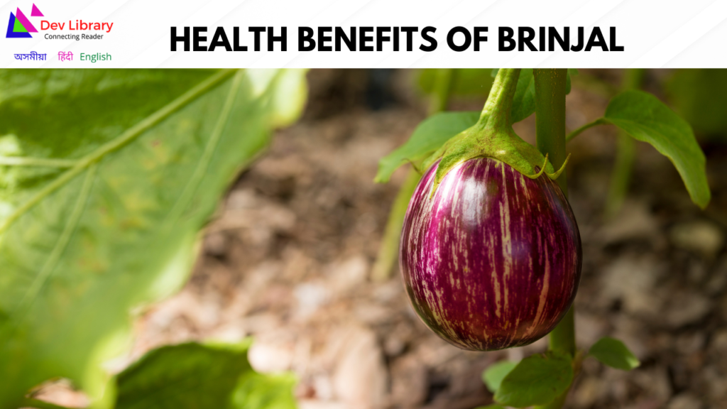 Health Benefits of Brinjal | বেঙেনাৰ উপকাৰিতা