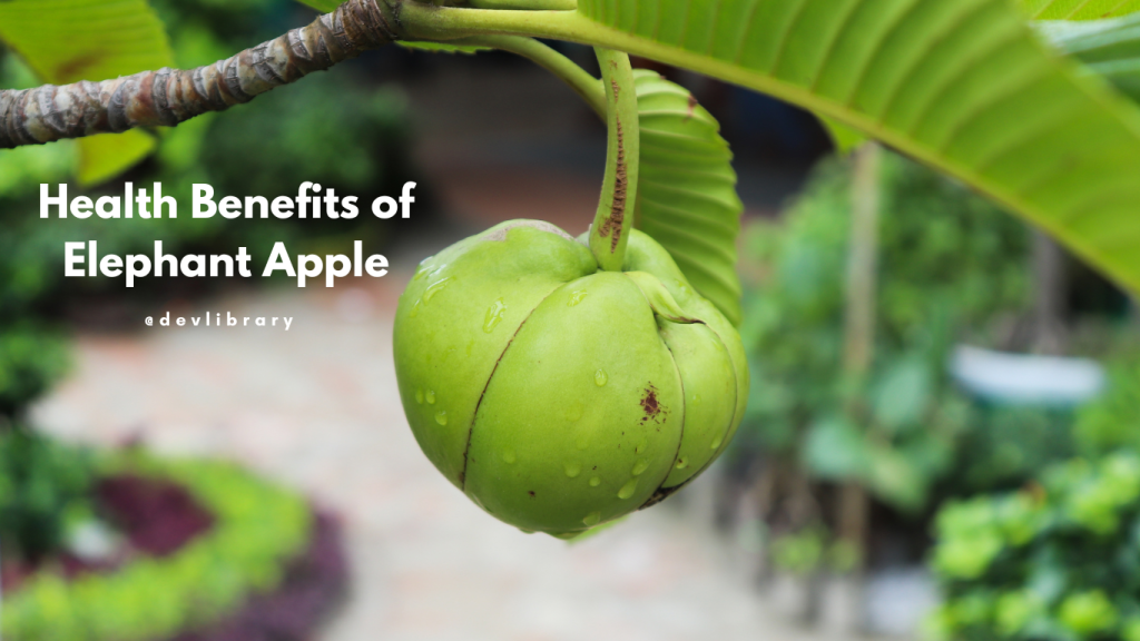 Health Benefits of Elephant Apple | ঔটেঙাৰ উপকাৰিতা