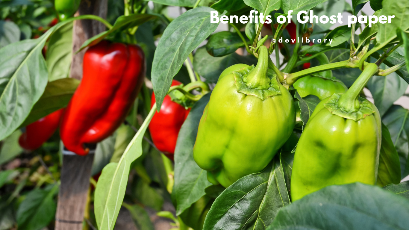 Benefits of Ghost paper | ভোট জলকীয়াৰ উপকাৰিতা