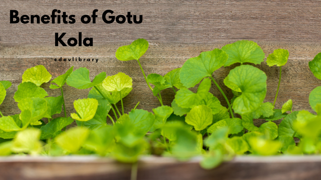Benefits of Gotu Kola | মানিমুনিৰ উপকাৰীতা