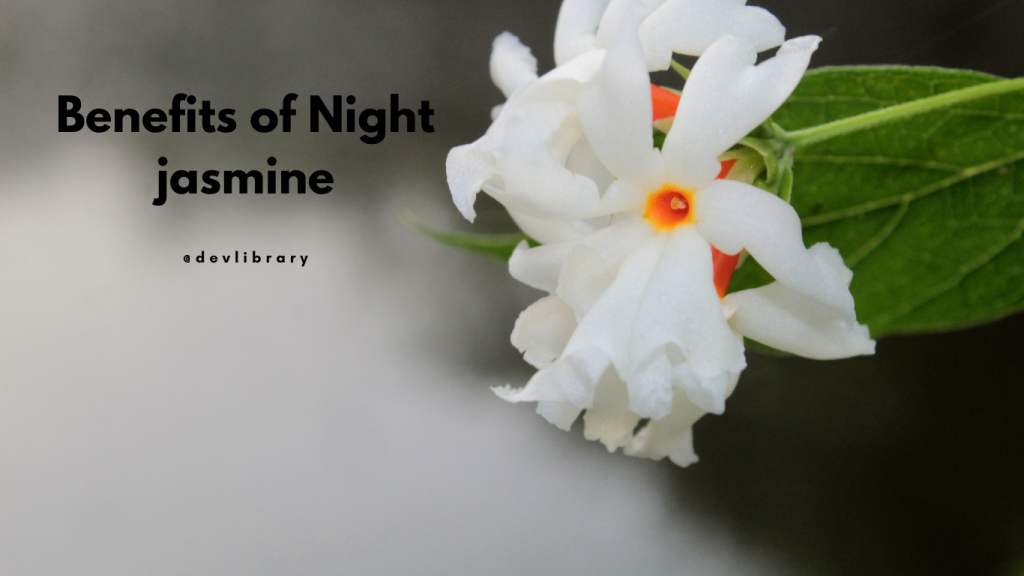 Benefits of Night jasmine | শেৱালীৰ উপকাৰিতা