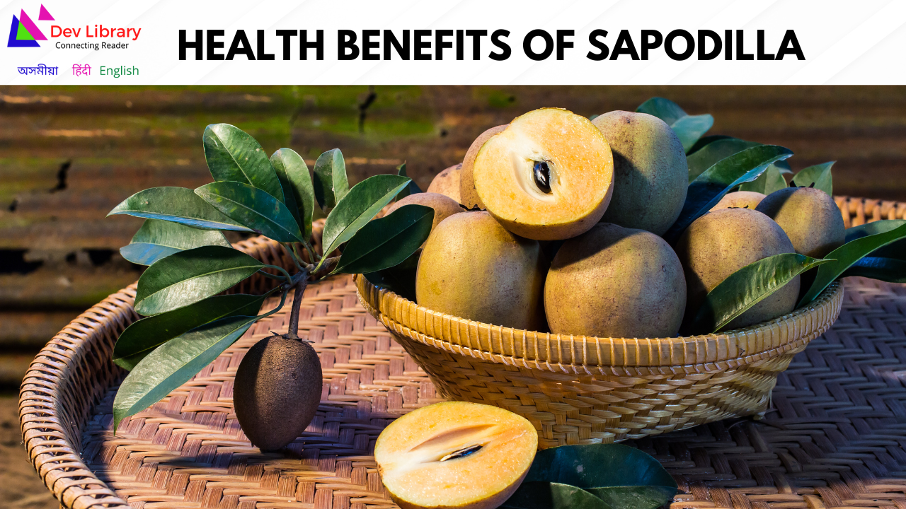 Health Benefits of Sapodilla | চিকুৰ স্বাস্থ্যজনিত উপকাৰিতা