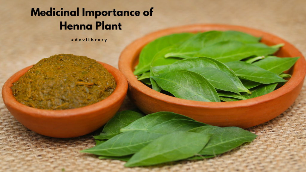 Medicinal Importance of Henna Plant | জেতুকাৰ ঔষধি গুণ