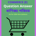 Class 10 Elective Commerce Question Answer