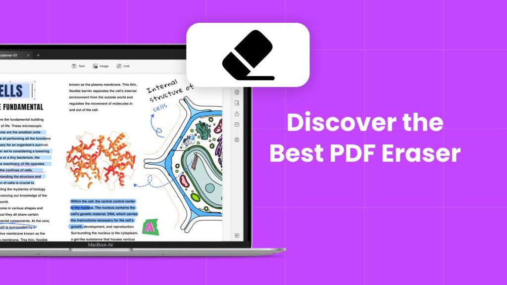 pdf eraser