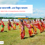 Bodo Tribe: A Comprehensive Overview | বড়ো জনগোষ্ঠী: এক বিস্তৃত আভাস