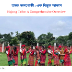 Hajong Tribe: A Comprehensive Overview | হাজং জনগোষ্ঠী: এক বিস্তৃত আভাস