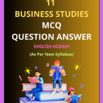 Class 11 Business Studies MCQ Solutions