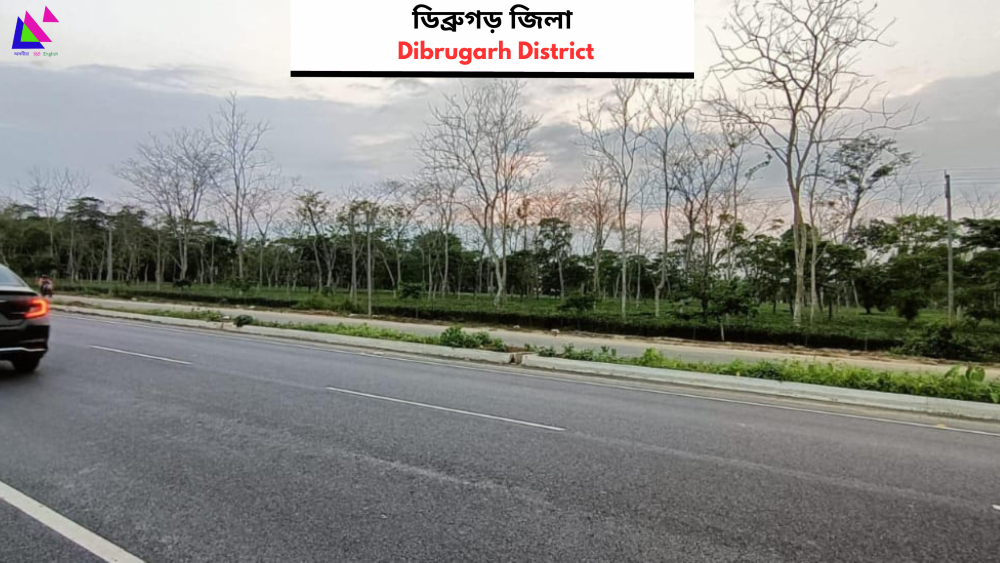 Dibrugarh District | ডিব্ৰুগড় জিলা 