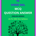 SEBA Class 10 Hindi MIL MCQ Question Answer