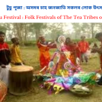 Tusu Festival : Folk Festivals of The Tea Tribes of Assam |  টুচু পূজা : অসমৰ চাহ জনজাতি সকলৰ লোক উৎসৱ