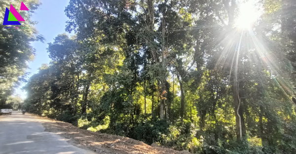                                                                চিত্ৰ: জকাই বনাঞ্চল (Jokai Botanical Garden) 