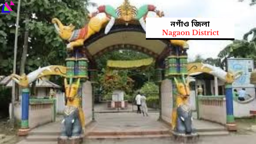 Nagaon District | নগাঁও জিলা