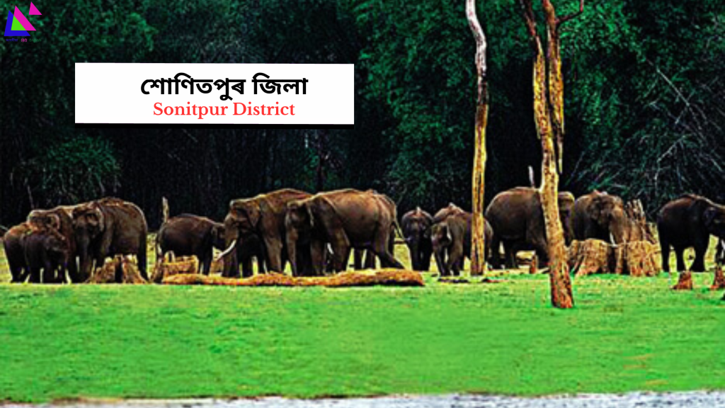 Sonitpur District | শোণিতপুৰ জিলা