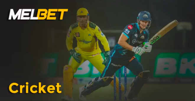 Cricket Betting on Melbet Bangladesh App