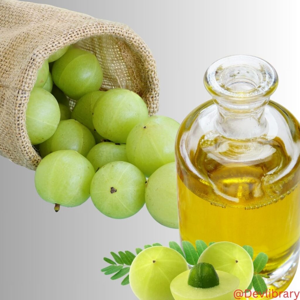 Amla Oil Health Benefits Uses and Side Effects
