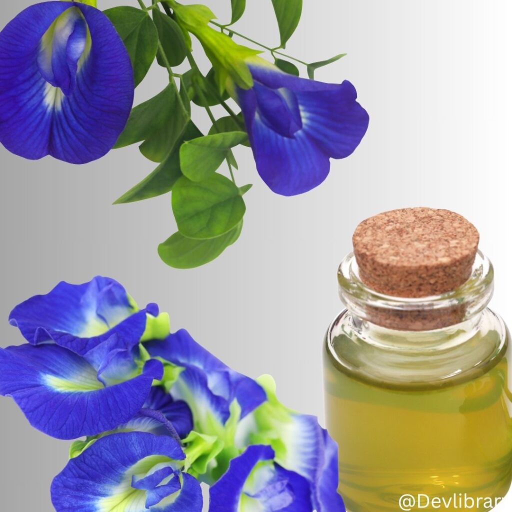 Aparajita Uses, Benefits & Risks