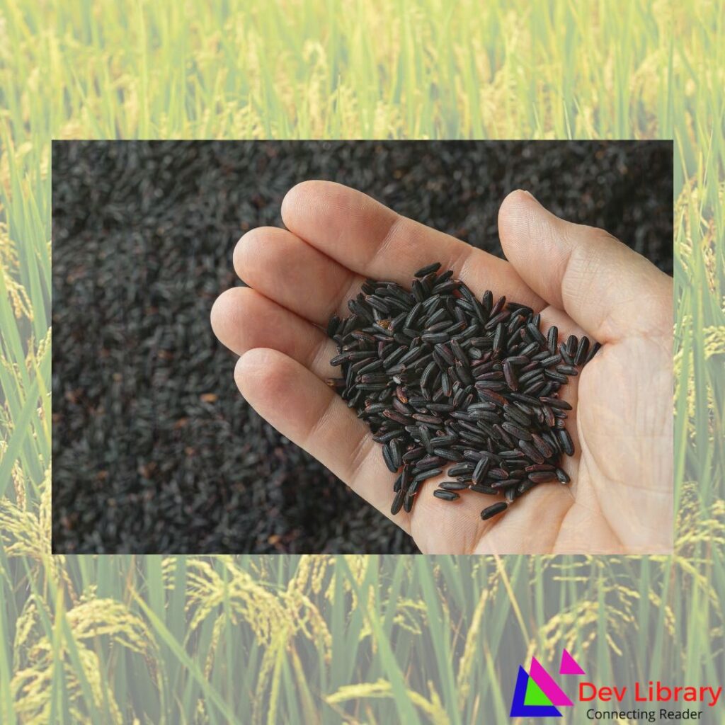 Unlocking the Power of Black Rice