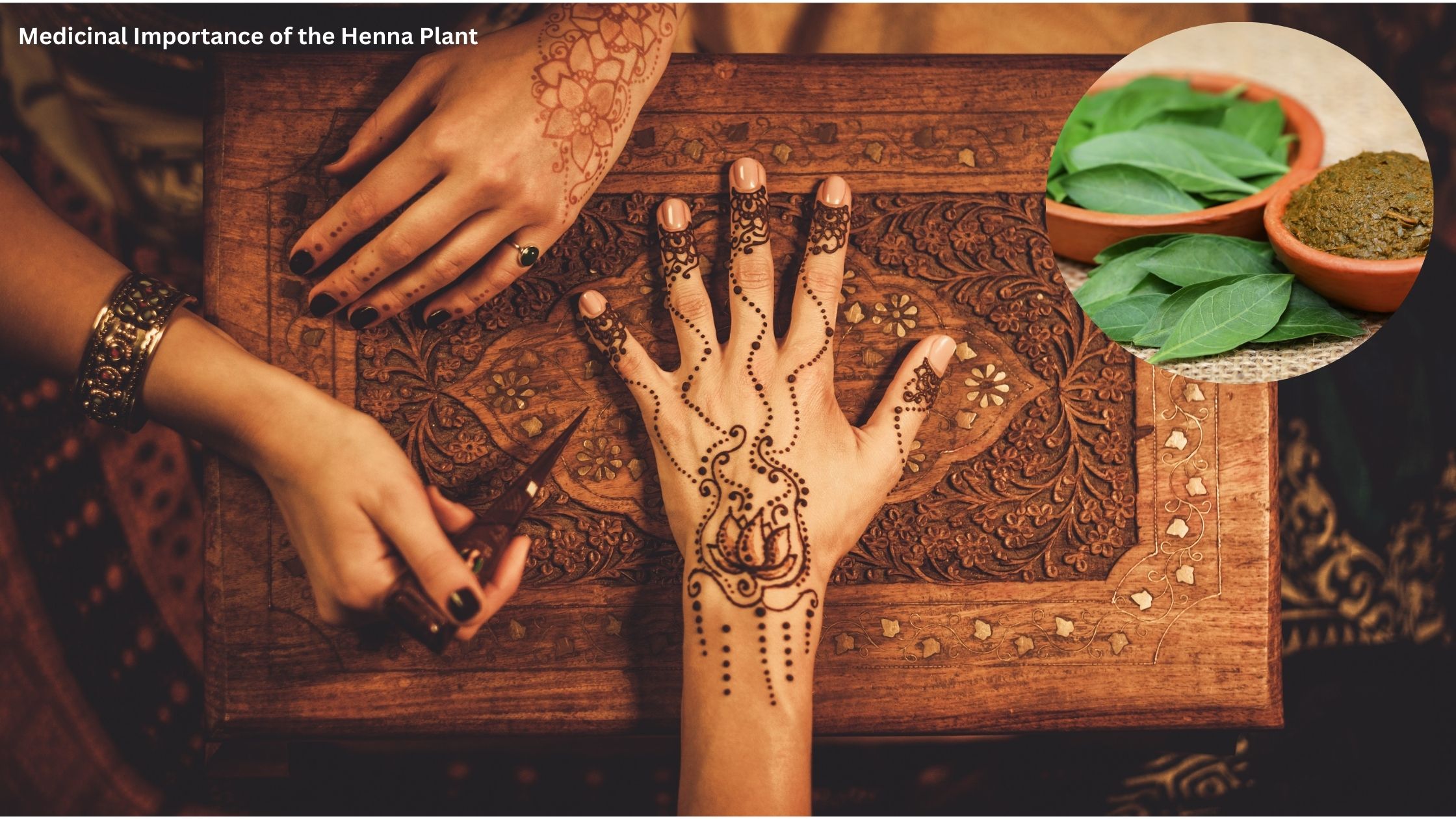 Medicinal Importance of the Henna Plant