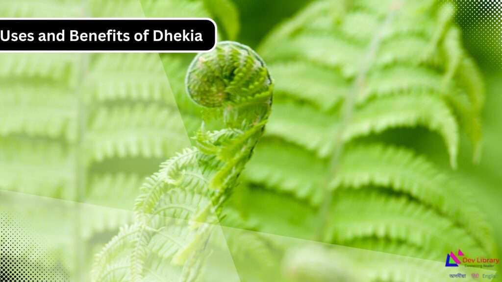Dhekia Assams Miracle Fern and Its Powerful Medicinal Secrets