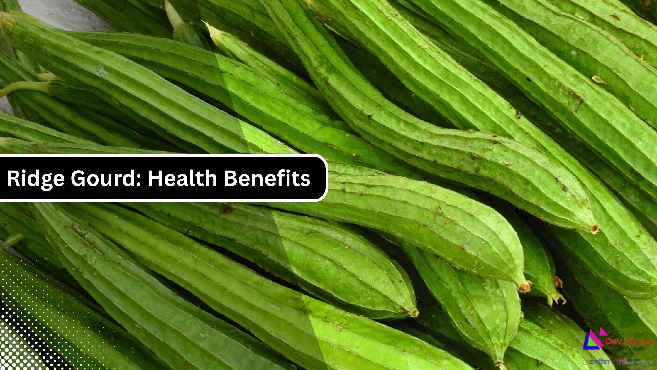 Ridge Gourd Health Benefits Nutrition Uses Side Effects and Complete Guide