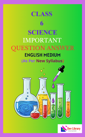 SEBA Class 6 Science Important Solutions English Medium