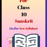 Bihar Board Class 10 Sanskrit Solutions